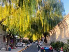 -后海公园