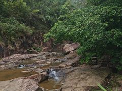 -广州白江湖森林公园