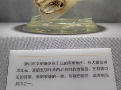 -唐山抗震纪念馆