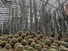 -南山植物园