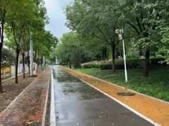 -山东鲁能乒乓球学校