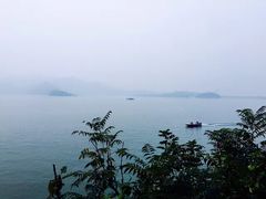 -望湖烤鱼