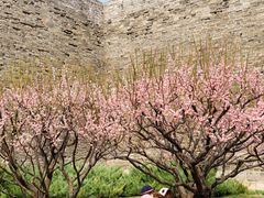 -北京明城墙遗址公园