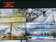 -君乐宝优致牧场