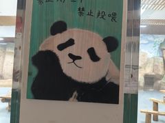 -无锡动物园·太湖欢乐园