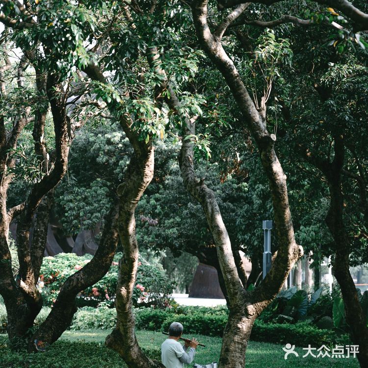 扫街日记📸•深圳蛇口人的青春| 四海公园💚