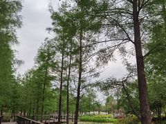 -映月湖公园