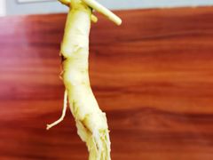 -朴小妹人参鸡汤火锅(长白山万达店)