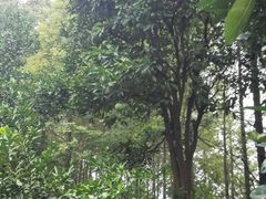 -梁鸿国家湿地公园
