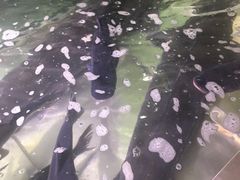 -胖姐渔村(中源大道店)