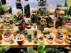 -扶光书店(中环店)