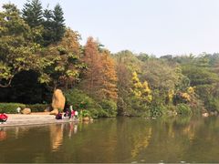 -云溪植物园