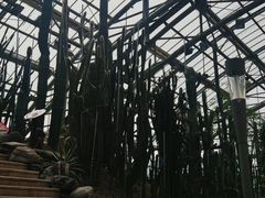 -南山植物园