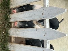 -湖南湘都生态农业园