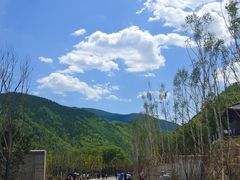 -五台山风景名胜区