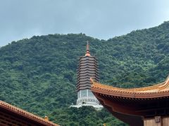 -深圳仙湖植物园