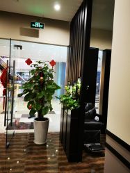 -史云逊养发护发