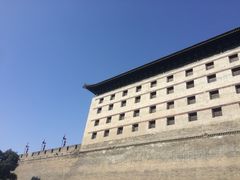 -金龙咖喱
