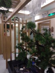 -芳朵美容养生SPA