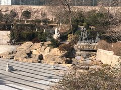 -石老人观光园