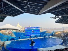 -上海海昌海洋公园