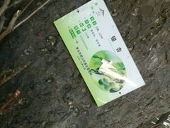 -青岛崂山太清宫