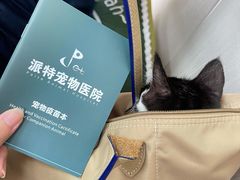 -派特宠物医院(海岸城店)