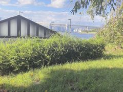 -台场海滨公园船码头
