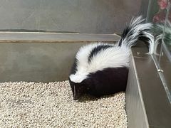 -昆明大悦城未来动物城(螺蛳湾中心店)