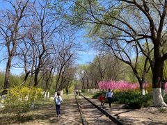 -永定河休闲森林公园