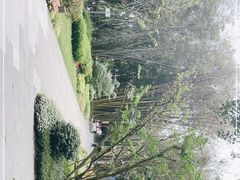 -望江楼公园
