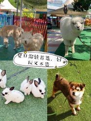 -萌宠亲子动物乐园(槐房万达店)