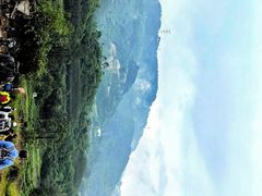 -铁山坪森林公园