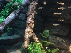 -沈阳海洋探索中心