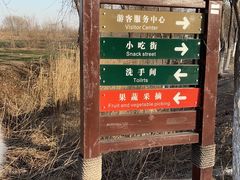 -西青郊野公园