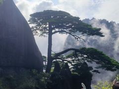 -黄山风景区