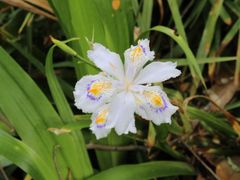 -镇江市南山风景名胜区竹林景区