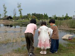 -白鹭湾湿地公园