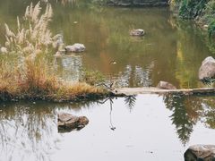 -云溪植物园