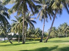 -海南清水湾莱佛士酒店