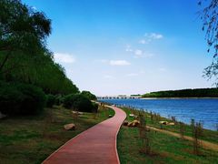 -丁香湖公园