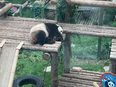 -大连森林动物园