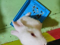 -风云再起游乐汇(北京西单西西友谊店)