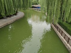 -团结湖公园