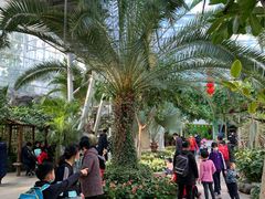 -北京植物园-展览温室
