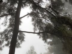 -敬亭山风景名胜区