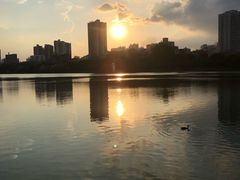 -南宁南湖公园