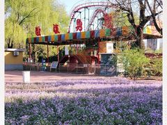 -朝阳公园游乐园