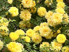 -长春市南湖公园