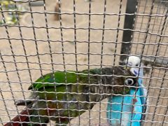 -南宫五洲植物乐园